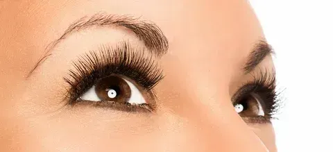 Brow and lash tinting and extensions